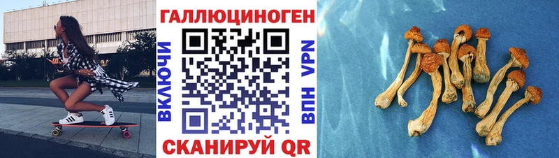 Галлюциногенные грибы ЛСД  цены   Новошахтинск 
